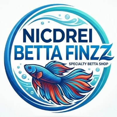 NICDREI BETTA FINZZ's profile photo