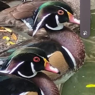 James Tan's profile photo
