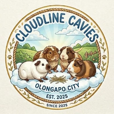 Cloudline Cavies's profile photo