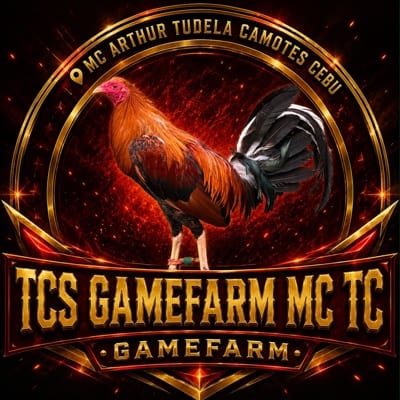 Vincent Rolmar Tacsan's profile photo