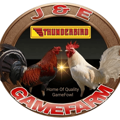 J & E GameFarm's profile photo