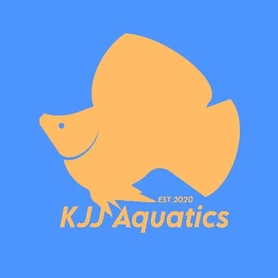 Kyle Joshua Jaleco's profile photo