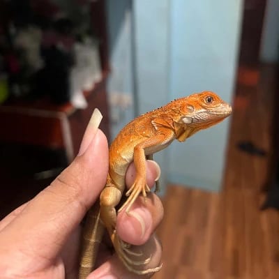 Kinneth Baydal's profile photo
