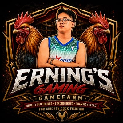 Erning’s Gaming's profile photo