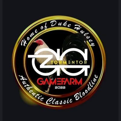 GZG Tormentor GF's profile photo