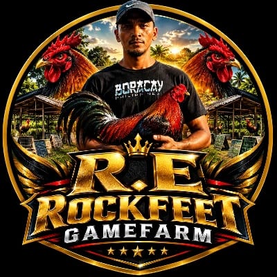 R.E rockfeet's profile photo