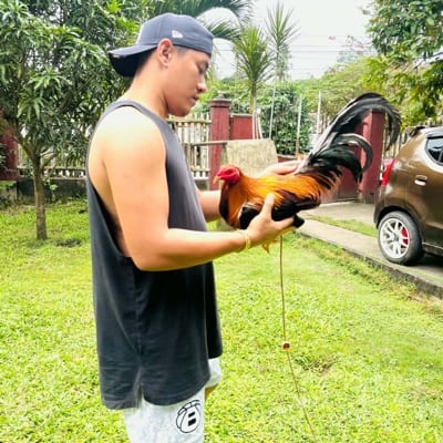 Jepoy Baritua's profile photo