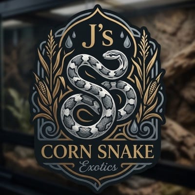 Jason Ortiz's profile photo