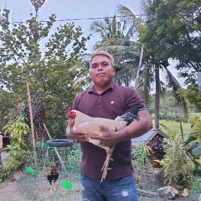 Jestone Caballero Abendan's profile photo