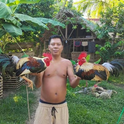 Roberto Chiu's profile photo