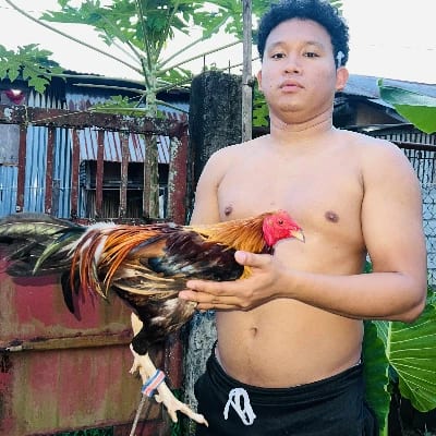ArjieCabalteraSabate(ACSFRONTYARD)'s profile photo