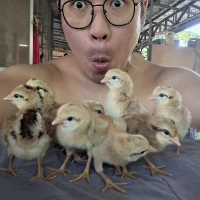Robin V. Antonio's profile photo