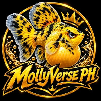 MollyVerse PH's profile photo