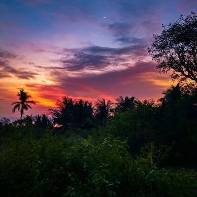 giovanni omega's profile photo
