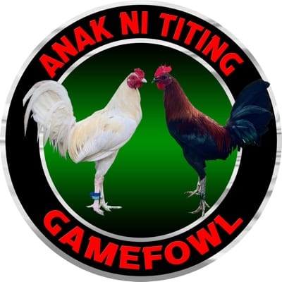 AnakNiTiting Gamefowl (ANT)'s profile photo