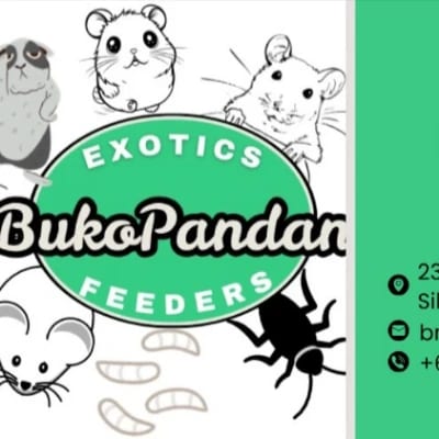 Buko Pandan Exotic feeders breeders keepers's profile photo