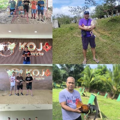 ElectraBackyard's profile photo