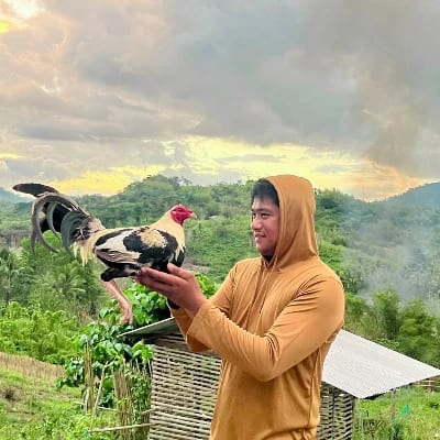 Bing's GFarm's profile photo