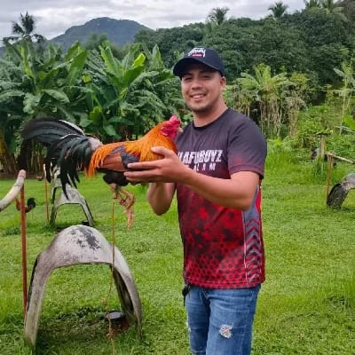 King Cyrus Gamefarm Cebu's profile photo