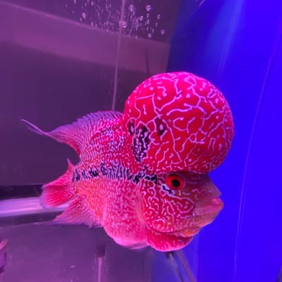 Angel m's profile photo