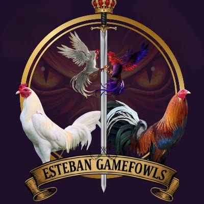 WAREN DAMOSLO's profile photo