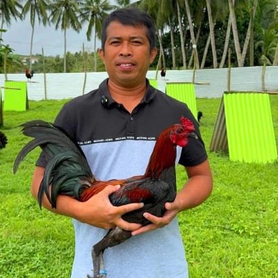 Erwin Cabuyao's profile photo