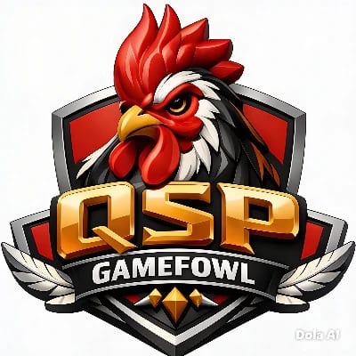 qsp backyard's profile photo