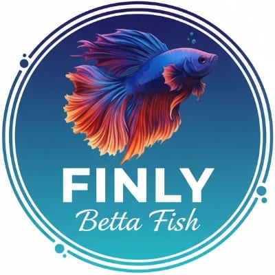 Finly Betta Fish - Valenzuela City's profile photo