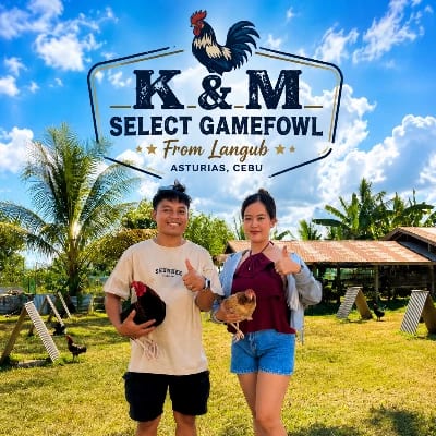 Marvin Rabadon's profile photo