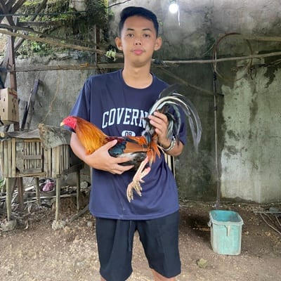Michael Dinampo's profile photo