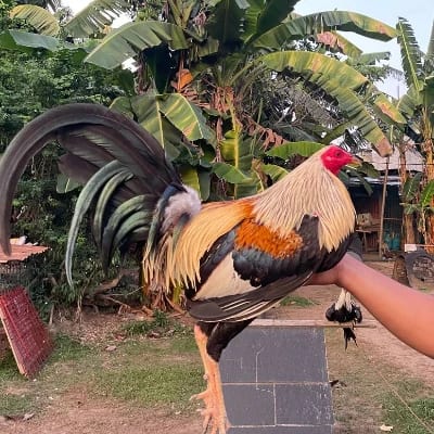 John's profile photo
