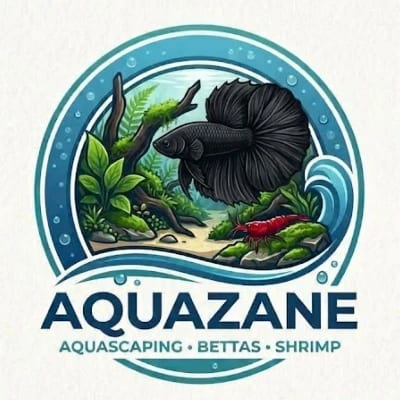 Aquazane's profile photo