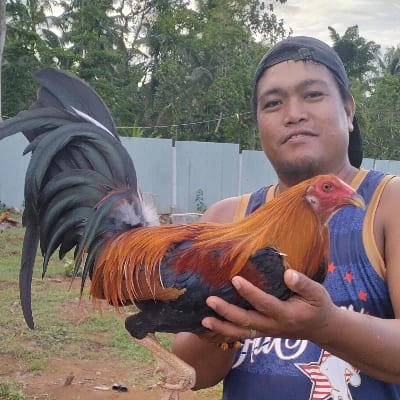 MCCOY's profile photo