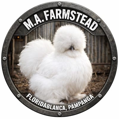 Mark Anthony Paraginog's profile photo