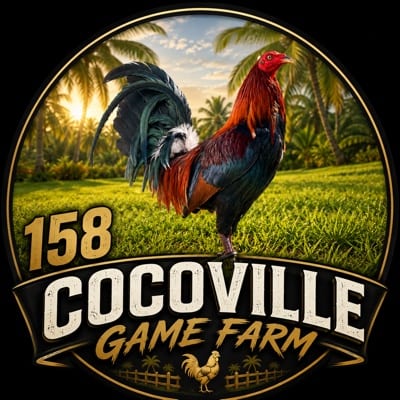 158Cocoville Gamefarm's profile photo