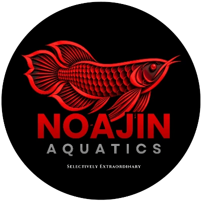 NoaJin Aquatics's profile photo