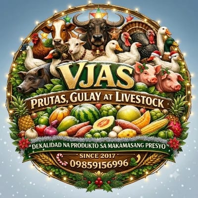 VJAS PRUTAS GULAY AT LIVESTOCK's profile photo
