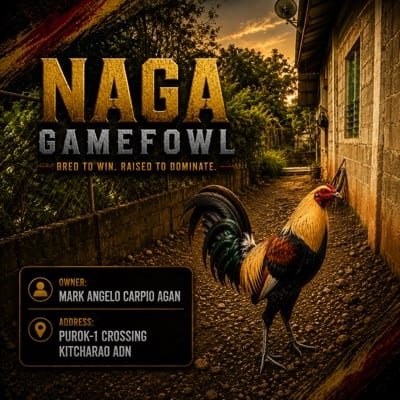 NAGA GAMEFOWL's profile photo