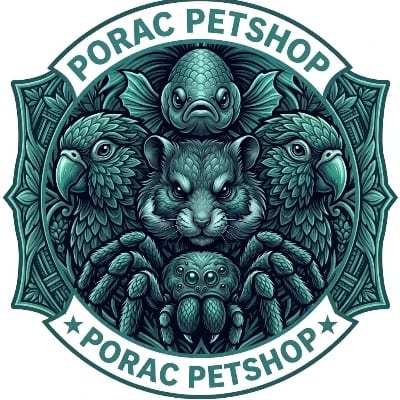 FERCEUS ELLAGA's profile photo