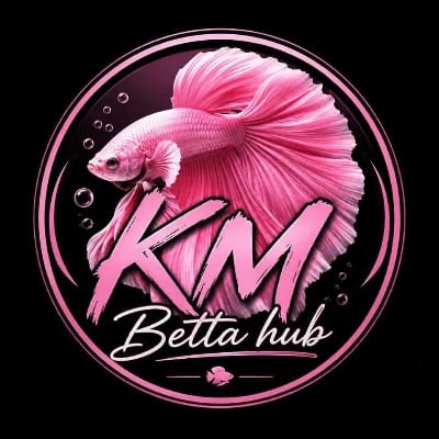 KMBettaHub's profile photo