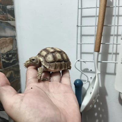 Ephraim Paragas's profile photo