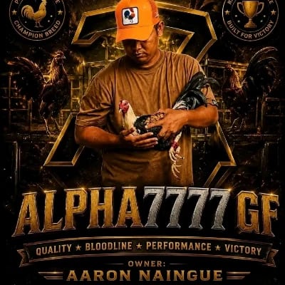 ALPHA7777 GF's profile photo