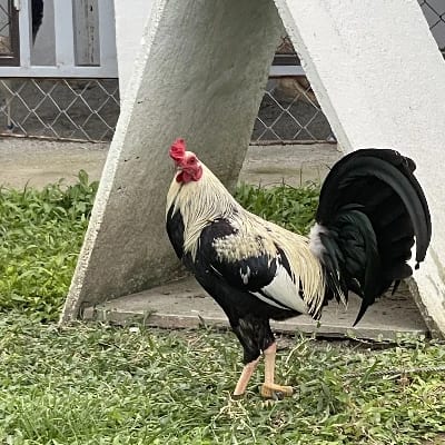 A. D.'s profile photo