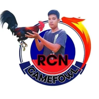Rule Navasquez's profile photo