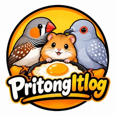 Pritong Itlog (Jervz)'s profile photo