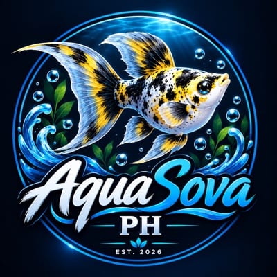 AquaSova Ph's profile photo