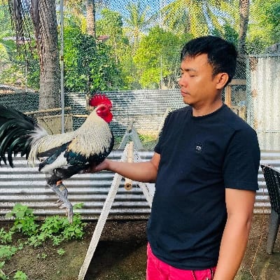 Luckybreak gamefowl's profile photo