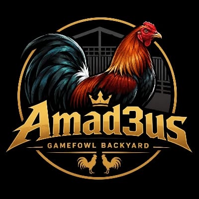 Amad3us's profile photo
