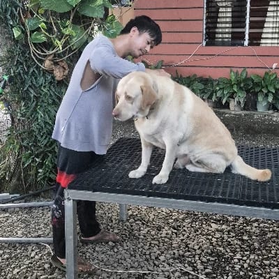 Jessie S Campomanes's profile photo