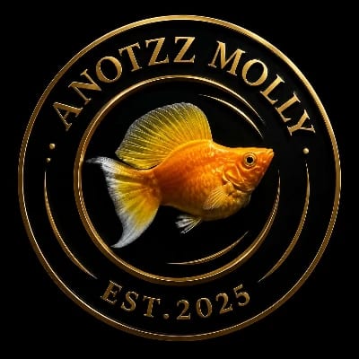 Anotzz Molly's profile photo